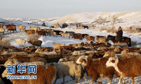 新疆阿勒泰百萬牲畜大轉(zhuǎn)場