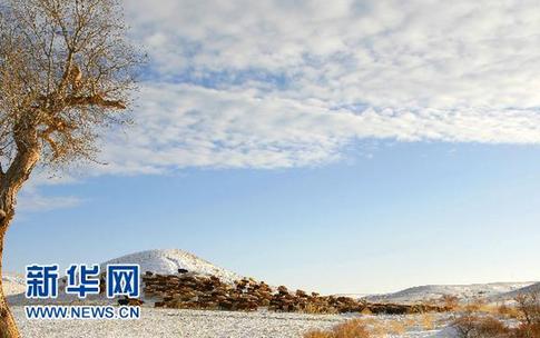 新疆阿勒泰百萬牲畜大轉(zhuǎn)場(chǎng)