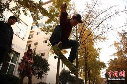 成都進入銀杏最佳觀賞期