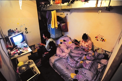 北京“鼠族”介意稱呼 稱路渺茫沒夢想才可怕