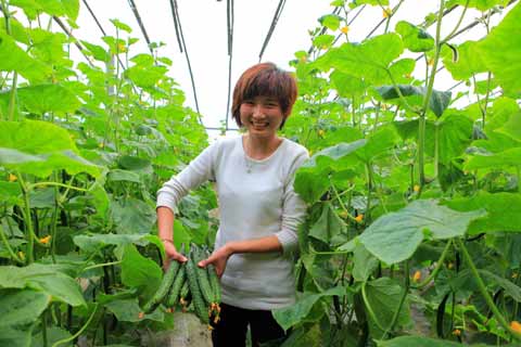 “農超對接”穩菜價（圖）