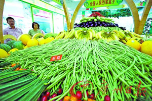 2011年多項經濟目標明確:CPI目標4%GDP達8%(圖)