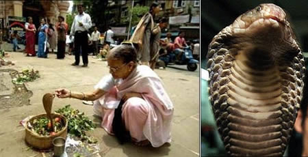 世界10大最詭異婚姻