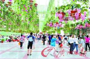 南沙新區至深圳機場擬建海底隧道