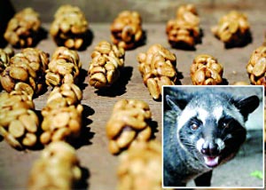 價(jià)值不菲！千奇百怪最貴之物