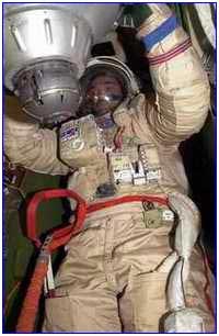 價值不菲！千奇百怪最貴之物