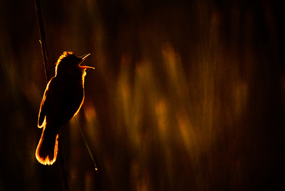 一起來看看世界各地的早晨