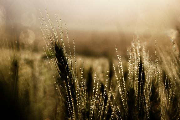 一起來(lái)看看世界各地的早晨