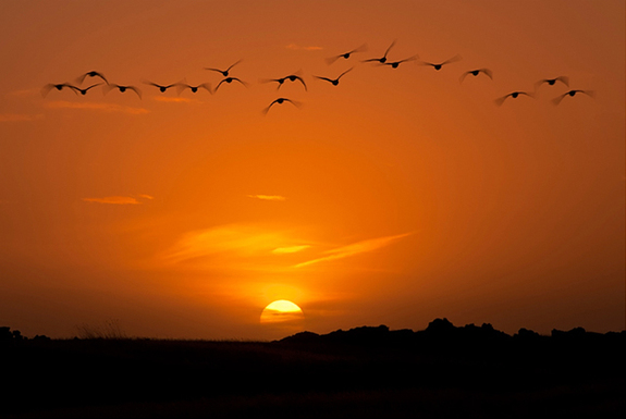 一起來看看世界各地的早晨
