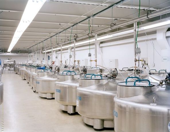 深入神秘的世界末日種子庫