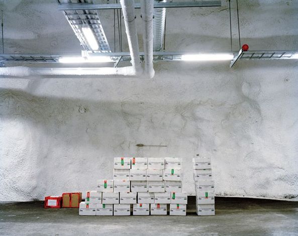 深入神秘的世界末日種子庫