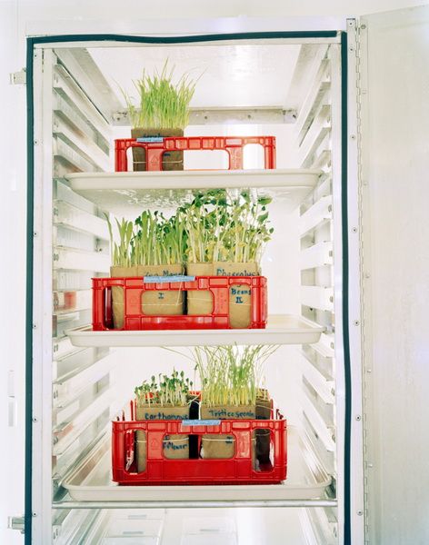 深入神秘的世界末日種子庫(kù)