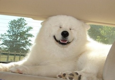 好歡樂！張張有亮點(diǎn)