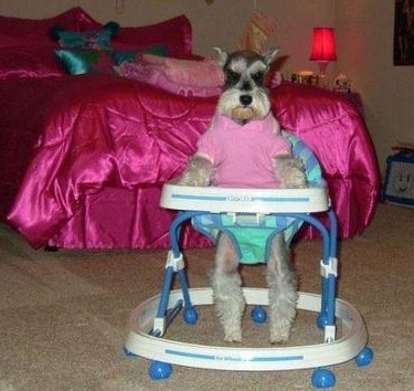 好歡樂！張張有亮點