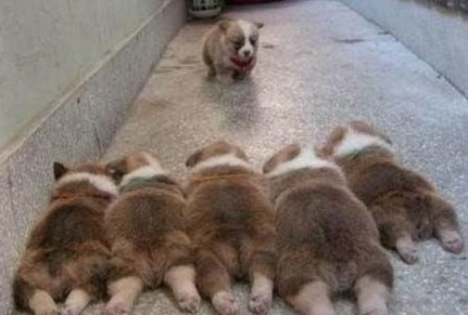 好歡樂！張張有亮點