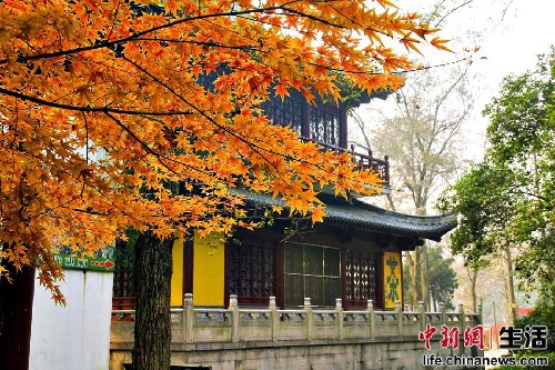 盤點國內(nèi)十大“秋色”