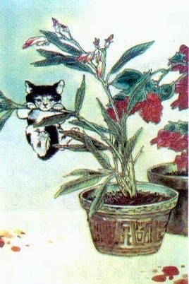 這些都看過 說明你老了！