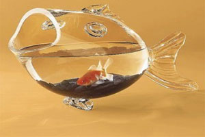 盤點各種年終獎 你們單位發啥迎2012？