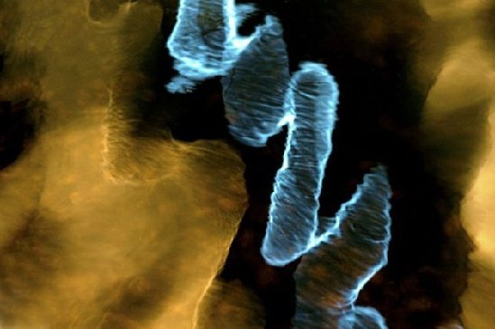 盲人攝影師的幻想藝術