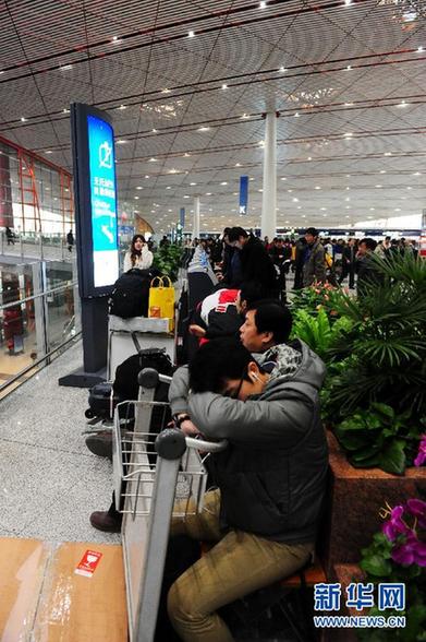 大霧天氣今起加威 預警升至最高等級