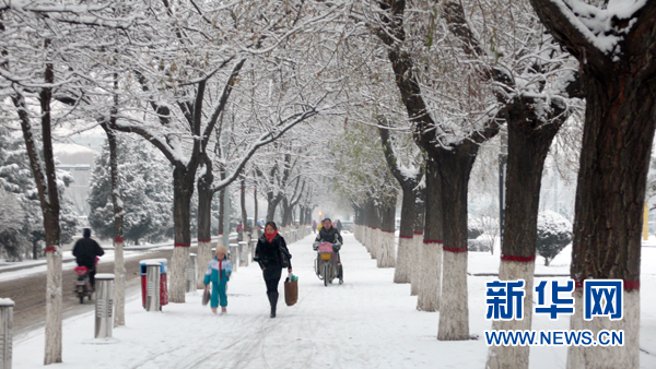 “暖冬”漸行漸遠 全球變暖暫時停滯了嗎