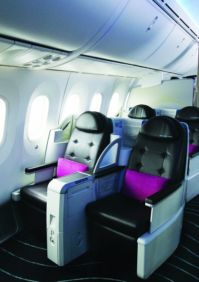 波音787亮相羊城 主打“夢幻”搶客(組圖)