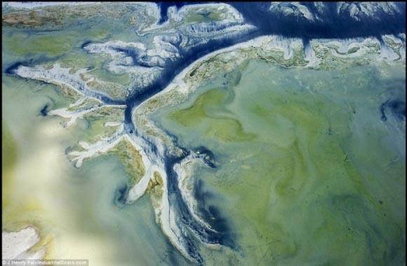 這是地球傷痕 不是玩藝術(shù)