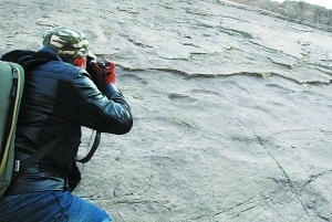 北京首次發(fā)現(xiàn)恐龍存活記錄：延慶驚現(xiàn)數(shù)百個大腳印