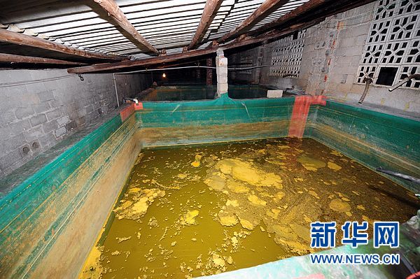 河池市長就鎘污染事件向下游群眾和社會公眾道歉