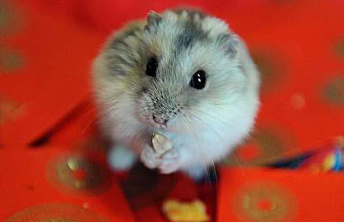 15大最奇怪的機場命名