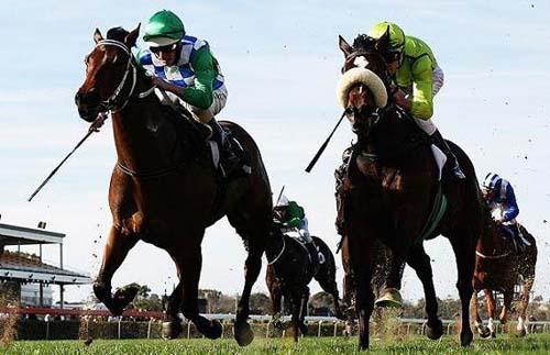 15大最奇怪的機(jī)場(chǎng)命名