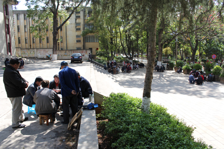 云南東川區把教育當第一民生抓