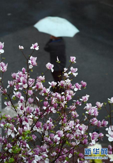 “雨雪風沙齊至”：最近天氣有點亂 出門請注意