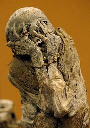 冰封500年的少女木乃伊