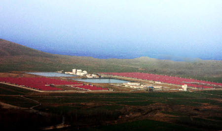 河南“雙匯”嚴控產業鏈源頭“安全”（圖）