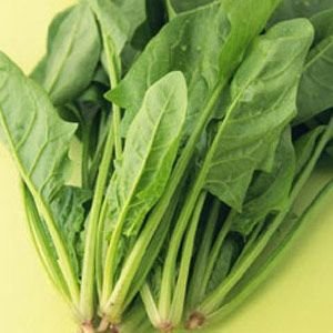 30種神奇的抗衰老食物！