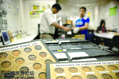 揭秘“末日種子庫”：能抵抗任何災難的地方