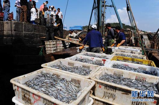 我國東海區5萬多艘漁船今日起全面休漁