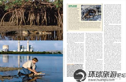 揭美國核電站鱷魚成群之謎