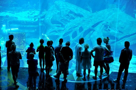 探秘迪拜一夜二十萬奢華客房內景 房間多的數不清