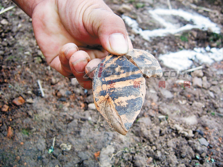 南鄭考古新發(fā)現(xiàn) 揭秘新石器時(shí)代如何裝修