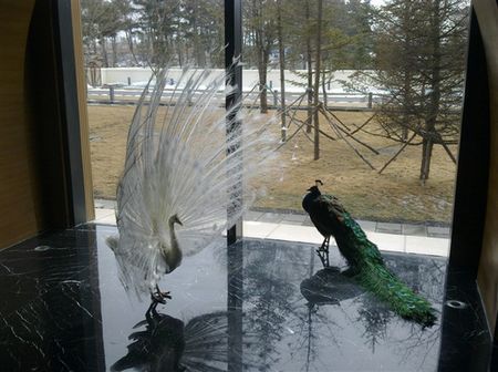 國內不易發現的10家度假好酒店