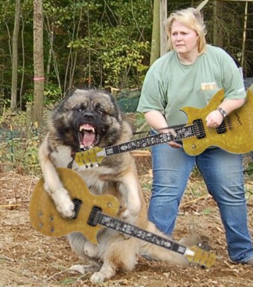 假如這些惡搞變成現(xiàn)實(shí)