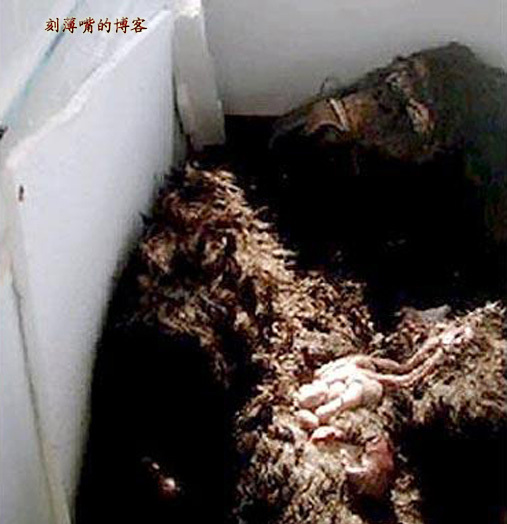 臺(tái)灣外星人疑造假 圖揭歷年神秘生物騙局