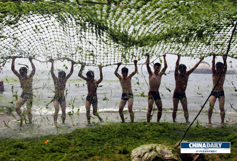 中國日報2012年度國際傳播圖片精選