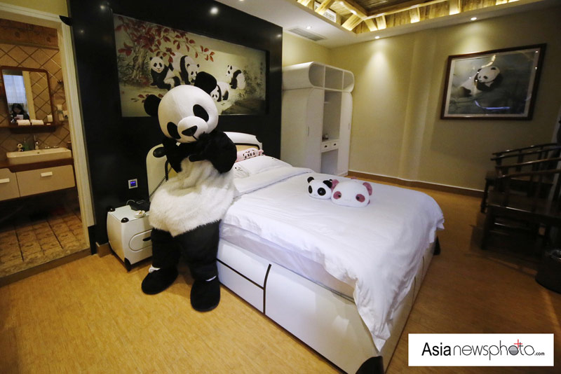 中國日報一周圖片精選:2月23日-3月1日