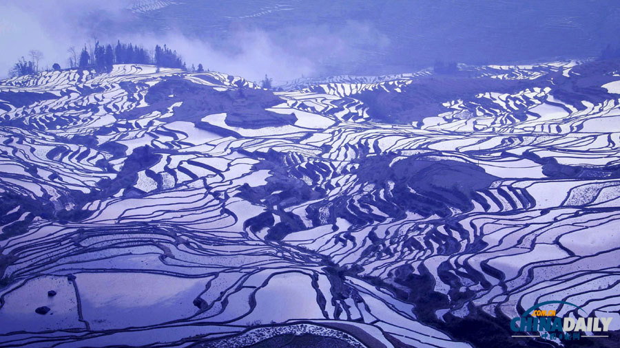 聚焦美麗中國之“春天在哪里”