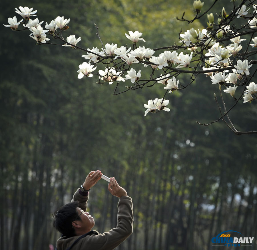 聚焦美麗中國之“春天在哪里”