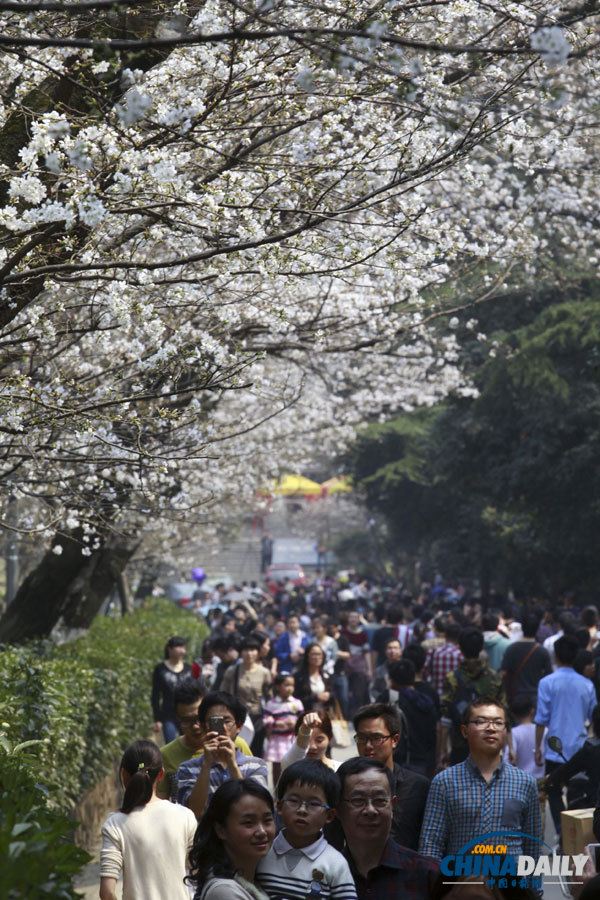 聚焦美麗中國之“春天在哪里”