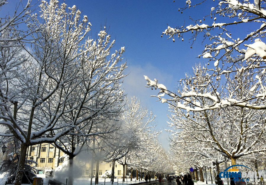 中國日報直擊北京三月春雪